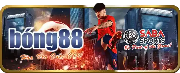 Hoàn trả không giới hạn HP88